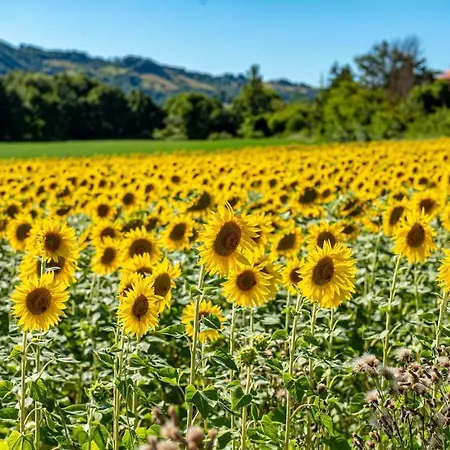 Feriegård Abadia Farneto *