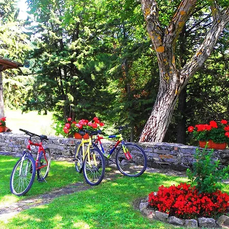 Abadia Farneto גוביו