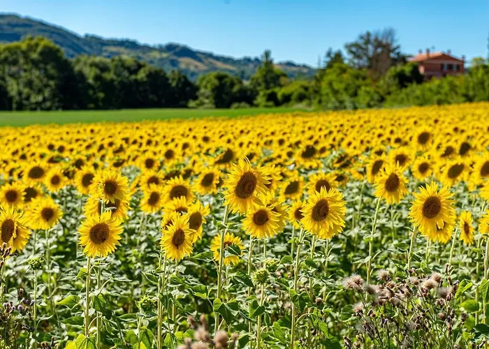 Alojamento de Turismo Rural Abadia Farneto *